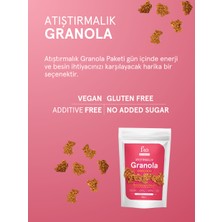 Fro 5li Atıştırmalık Granola Vegan Glutensiz Şekersiz Atıştırmalık Sağlıklı Katkısız Granola 5X50GR