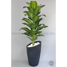 Yapay Difenbahya Ağacı 210 cm Lux Dış Mekan Saksıda