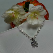 Chainbysilver Çelik Gümüş Rengi Taşlı Yonca Kolye