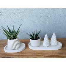 Minimal Beton Saksı ve Tepsi Seti