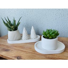 Minimal Beton Saksı ve Tepsi Seti