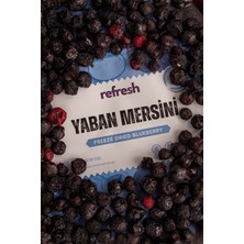 Refresh Chips Freeze Dried Yaban Mersini - Dondurularak Kurutulmuş Meyve - Freeze Dry Meyve Kurusu 20gr