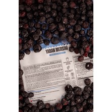Refresh Chips Freeze Dried Yaban Mersini - Dondurularak Kurutulmuş Meyve - Freeze Dry Meyve Kurusu 20gr