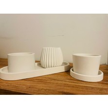 Modern Minimalist Seramik Saksı Seti