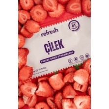 Refresh Chips Freeze Dried Dilim Çilek - Dondurularak Kurutulmuş Meyve - Freeze Dry Meyve Kurusu 20gr