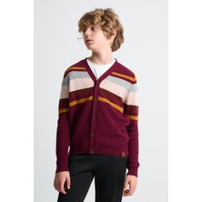 Alexandergardı Düğmeli Çocuk Triko Hırka (C20-18367)