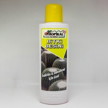 Kaktüs ve Sukulent Başlangıç Bakım Seti