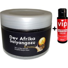 Bonie Giant Vıp:28 100 ml Krem – Vip Krem 60 ml