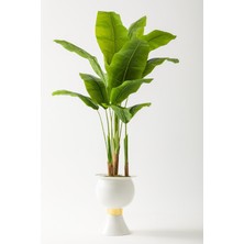 Yapay Muz Ağacı 180 cm 13 Yaprak Balon Saksı