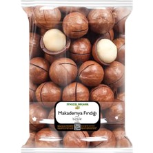 Zencefil  Kabuklu Makademya Fındığı 250 gr Makedemya Cevizi Kabuklu Macadamia