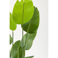 Yapay Starliçe Ağacı 140 cm Geniş Yapraklı Gümüş Saksı
