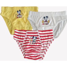 Erkek Çocuk 3 Adet Slip Külot Mickey Mouse Lisanslı