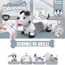 Gizmur Store GL-777-603 U/k Işıklı ve Sesli Sevimli Robot -Vrd