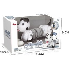 Gizmur Store GL-777-603 U/k Işıklı ve Sesli Sevimli Robot -Vrd