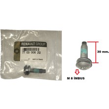 Renault Dacıa Kapı Mentese Kılıt Cıvatası Duster Logan Sandero Kango Koleos Juke Navara X-Traıl (10 Adet)