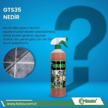 Forbix GTS 35 / Çok Amaçlı Temizleyici – 3 Adet