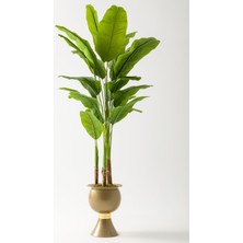 Yapay Muz Ağacı 220 cm 20 Yaprak Balon Saksı