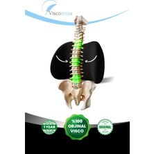 Ergonomik Bel Yastığı Bel Destek Minderi