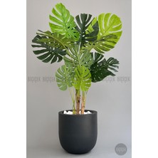 Yapay Monstera Ağacı 170 cm Lux Dış Mekan Saksıda