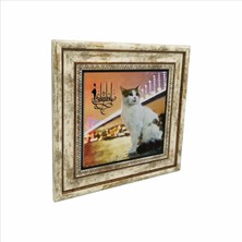 Istanbul Kedisi Baskılı Doğaltaş Tablo (25 x 25 Krt-64)