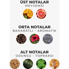Armasari Gent Tierra Odunsu Uzun Süre Kalıcı 100  ml Edt Erkek Parfüm
