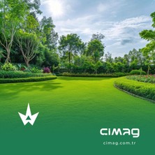Çim Tohumu 3 Mix Grass Karışımı - 1 kilo