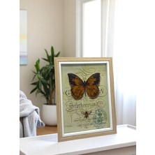 13×18 cm Camlı Ahşap Dekoratif Kontrast Beyaz Detaylı Fotoğraf / Anı Çerçevesi