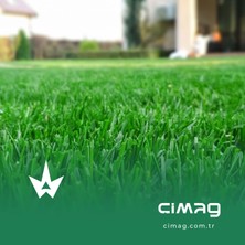 Çim Tohumu 4 Mix Grass Karışımı - 1kilo