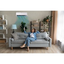 Viessmann 24.000 Btu Duvar Tipi Klima