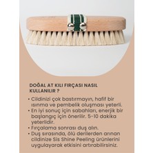 Sis Shine Cosmetic At Kılı Vücut Fırçası %100 Doğal (Saklama Kesesi Hediyeli)
