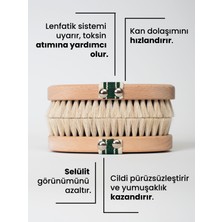 Sis Shine Cosmetic At Kılı Vücut Fırçası %100 Doğal (Saklama Kesesi Hediyeli)