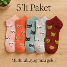 Kadın Desenli Kısa Çorap -5'li Paket – Karışık Renkli -Kadın Çorap Patik – 36-38-Kedi Desen