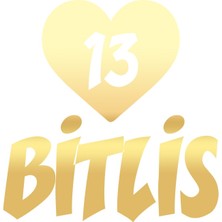 Kalpli 13 Bitlis Araba Sticker 17X17 cm Gold