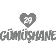 Kalpli 29 Gümüşhane Araba Sticker 17X17 cm Gri