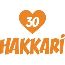 Kalpli 30 Hakkari Araba Sticker 17X17 cm Turuncu