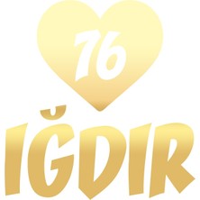 Kalpli 76 Iğdır Araba Sticker 17X17 cm Gold