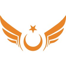 Kanatlı Türk Bayrağı Araba Sticker 17X17 cm Turuncu