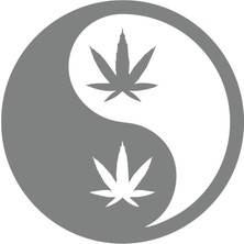 Ying Yang Araba Sticker 17X17 cm Gri