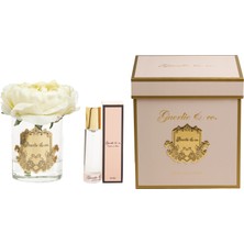 Guerlieandco. Krem Tek Şakayık Gold