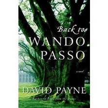 Ada Kültür Back to Wando Passo - David Payne