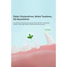 Avokado Şeklinde Catnipli Doğal Kedi Yalama Topu 6 cm (3 Adet)