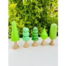 Carveni Waldorf Montessori Doğal Ahşap Ağaç Seti 5'li