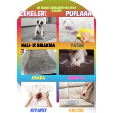 Beyaz Sabun Kokulu Kedi Köpek Idrar Işaret Leke Çıkarıcı ve Yer Yüzey Temizleyici Sprey, 400 ml