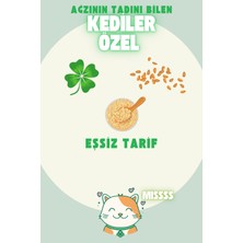 Kedi Çimi Tüy Yumağı Önleyici Etkili  Dostu ve %100 Doğal 4 Adet