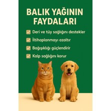 Kedi ve Köpekler Için Omega 3 ve 6 Içerikli Balık Yağı – Tüy ve Genel Sağlık Destekleyici 200 ml