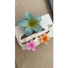 Lotus Toka 3 Lü Set Şık Renklerle  şık Modeli ile  Su Yeşili-Pembe-Oranj Yaz sıcakları için çok şık 3 lü toka seti 