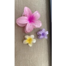 Lotus Toka 3 Lü Set Şık Renk ve Model Pembe-Sarı-Mor Yaz sıcakları için çok şık 3 lü toka seti 