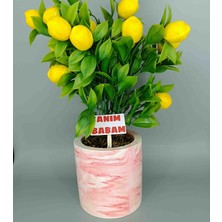 Mermer Efektli Beton Saksıda Yapay Limon Ağacı