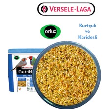 Versele-Laga Versele L. Orlux Gold Patee Nemli Kurtlu Karidesli Ballı Yumurtalı Mama 500GR