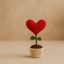 Örgü Saksıda Örgü Kalp